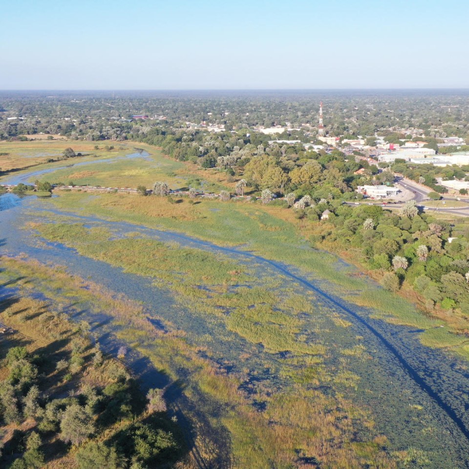 Botswanas Tierparadiese und Naturwunder entdecken